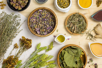 5 Essential Ayurvedic Herbs for Everyday Wellness