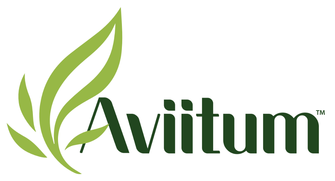 Aviitum